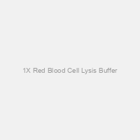1X Red Blood Cell Lysis Buffer